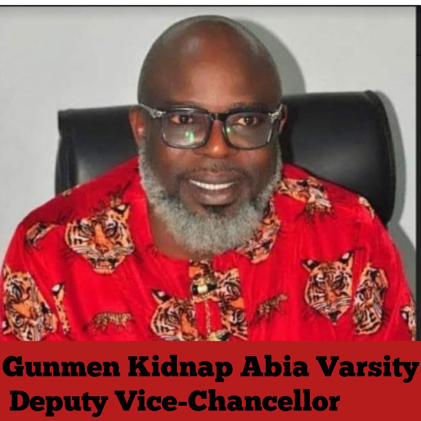 Gunmen Kidnap Abia Varsity Deputy Vice-Chancellor