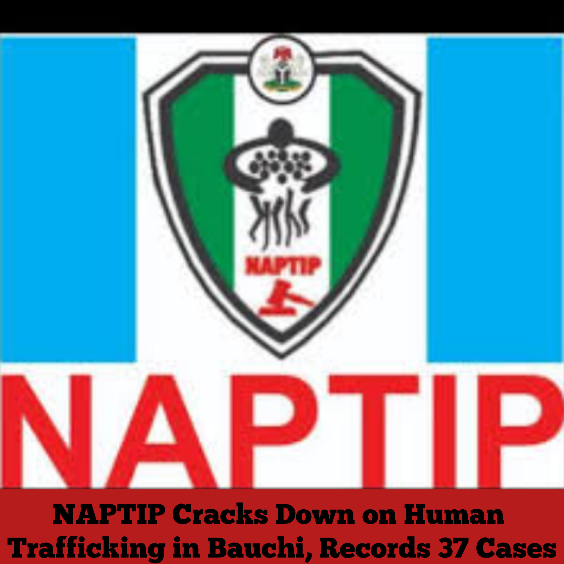 NAPTIP Cracks Down on Human Trafficking in Bauchi, Records 37 Cases