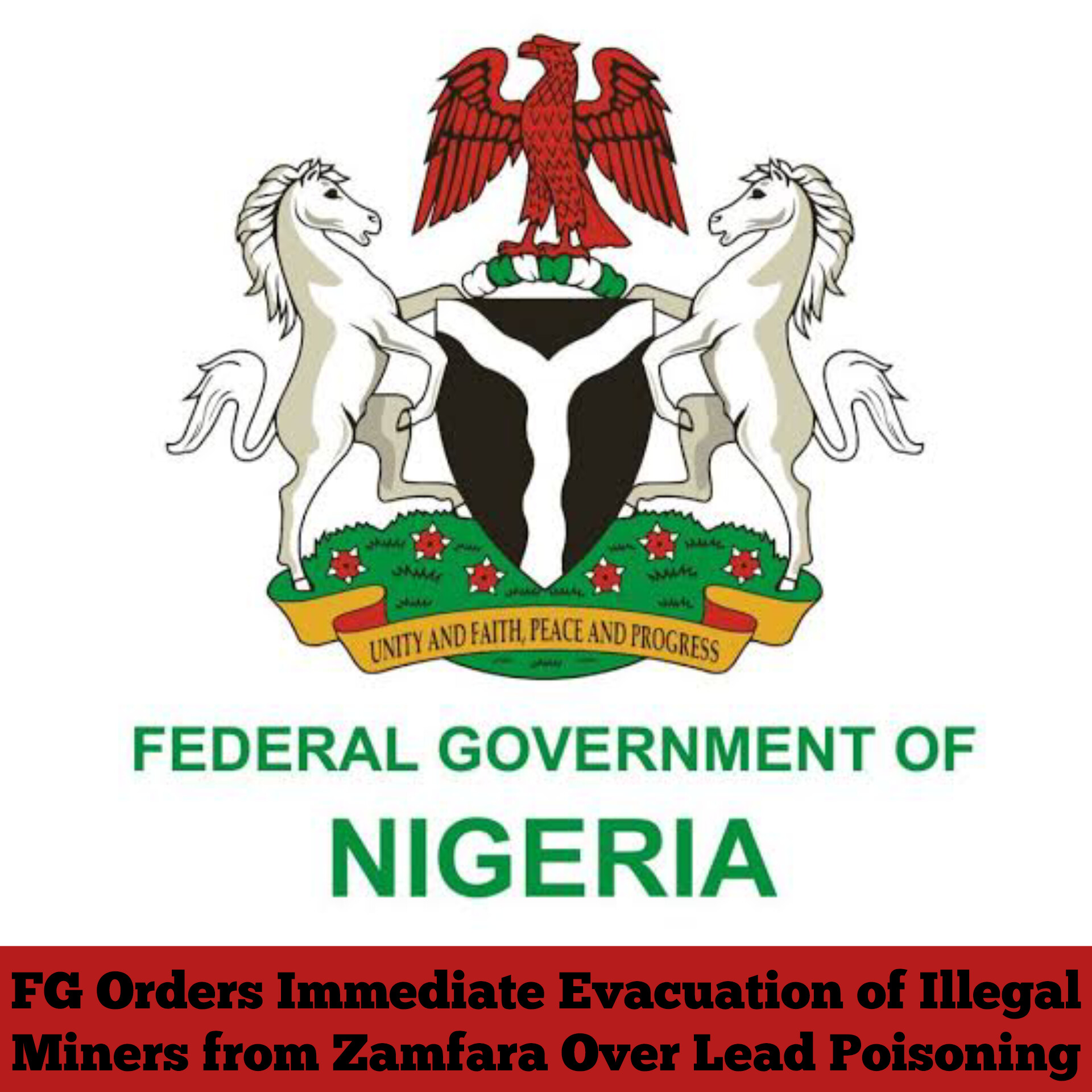 FG Orders Immediate Evacuation of Illegal Miners from Zamfara Over Lead Poisoning