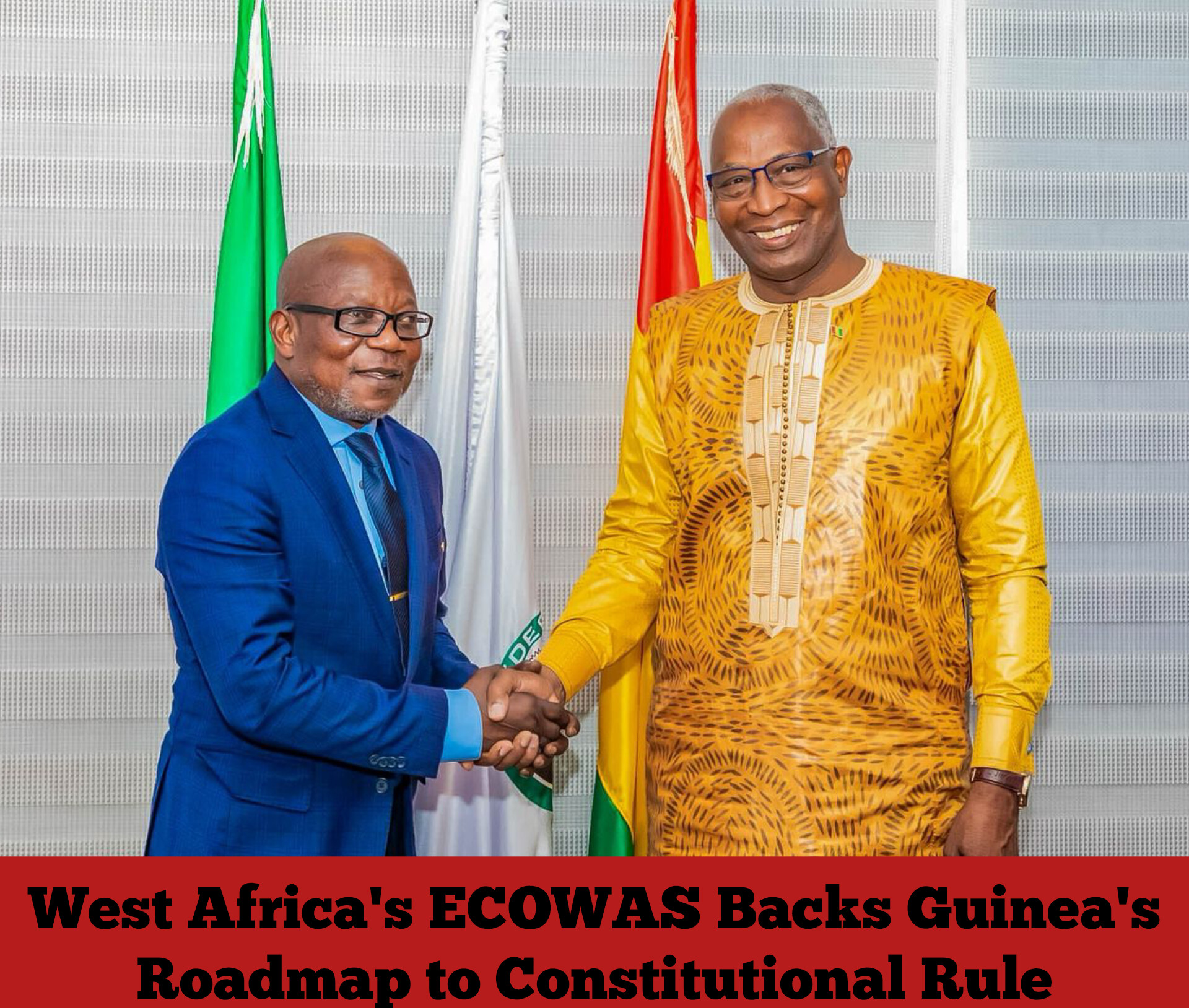 West Africa’s ECOWAS Backs Guinea’s Roadmap to Constitutional Rule