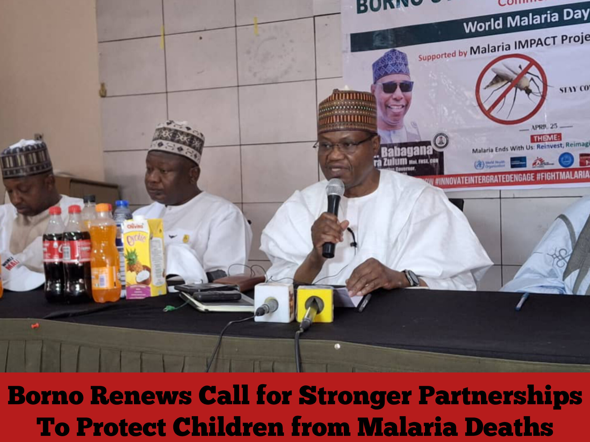 Borno Renews Call for Stronger Partnerships to Protect Children from Malaria Deaths