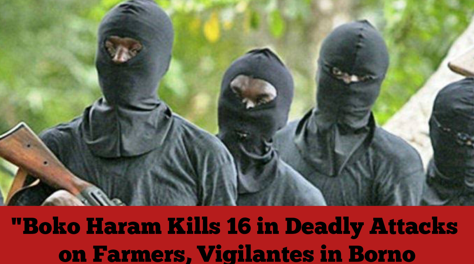 “Boko Haram Kills 16 in Deadly Attacks on Farmers, Vigilantes in Borno