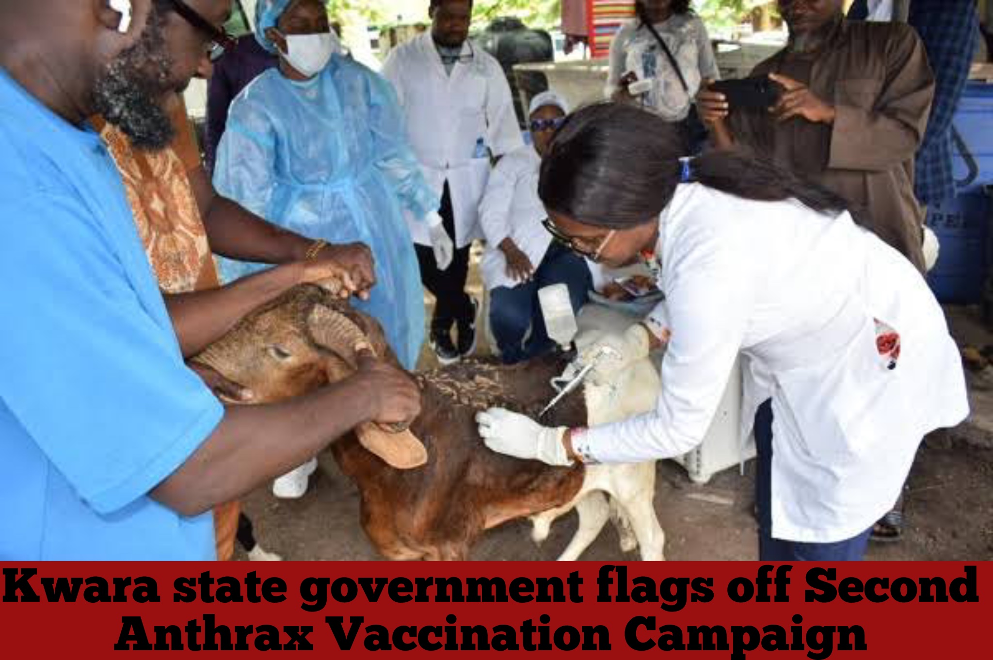 Kwara state government flags off Second Anthrax Vaccination Campaign