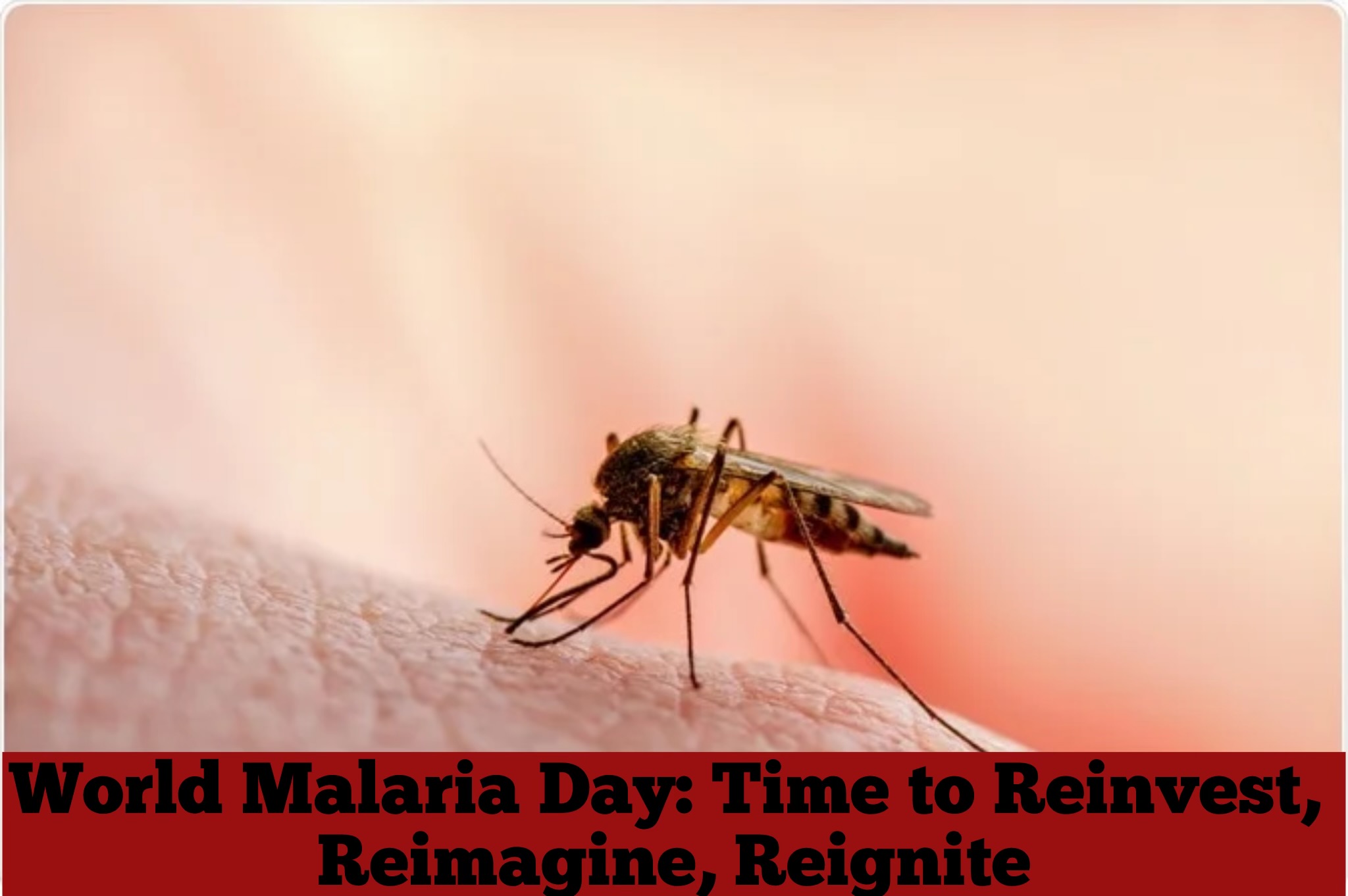 World Malaria Day: Time to reinvest, reimagine, reignite