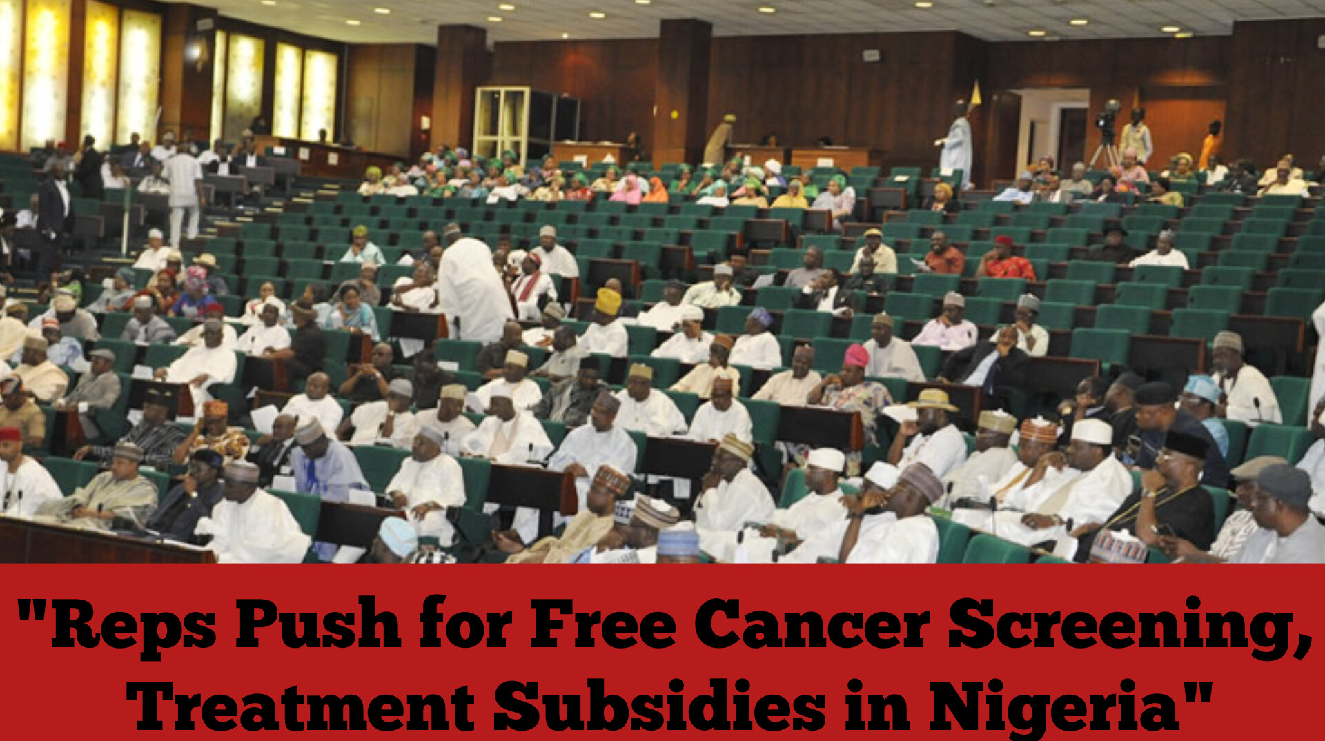 "Reps Push for Free Cancer Screening, Treatment Subsidies in Nigeria"