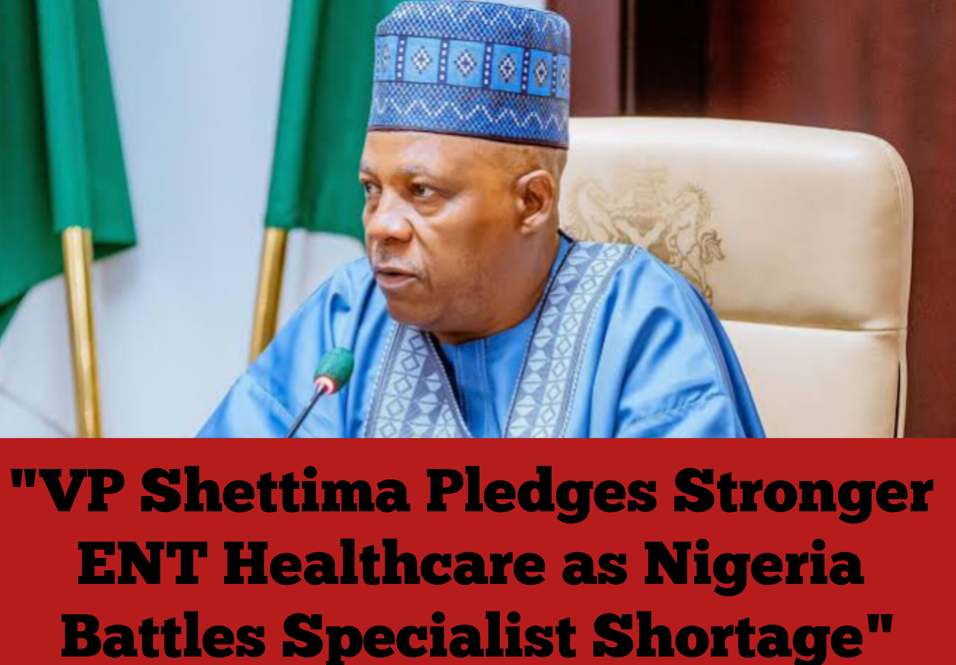 "VP Shettima Pledges Stronger ENT Healthcare as Nigeria Battles Specialist Shortage"