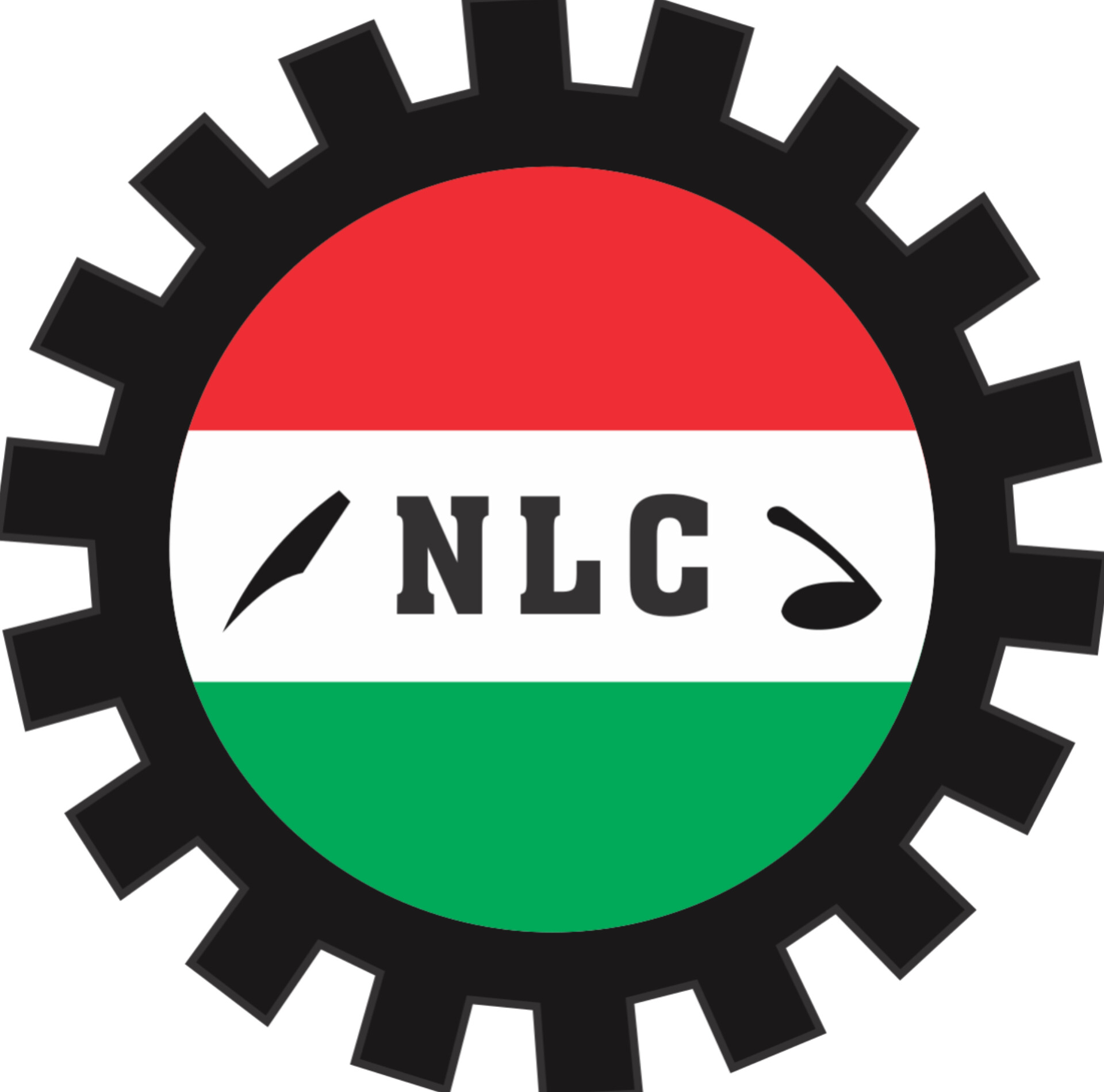 NLC Rejects Pay Rise for Politicians, Demands Public Disclosure of Salaries