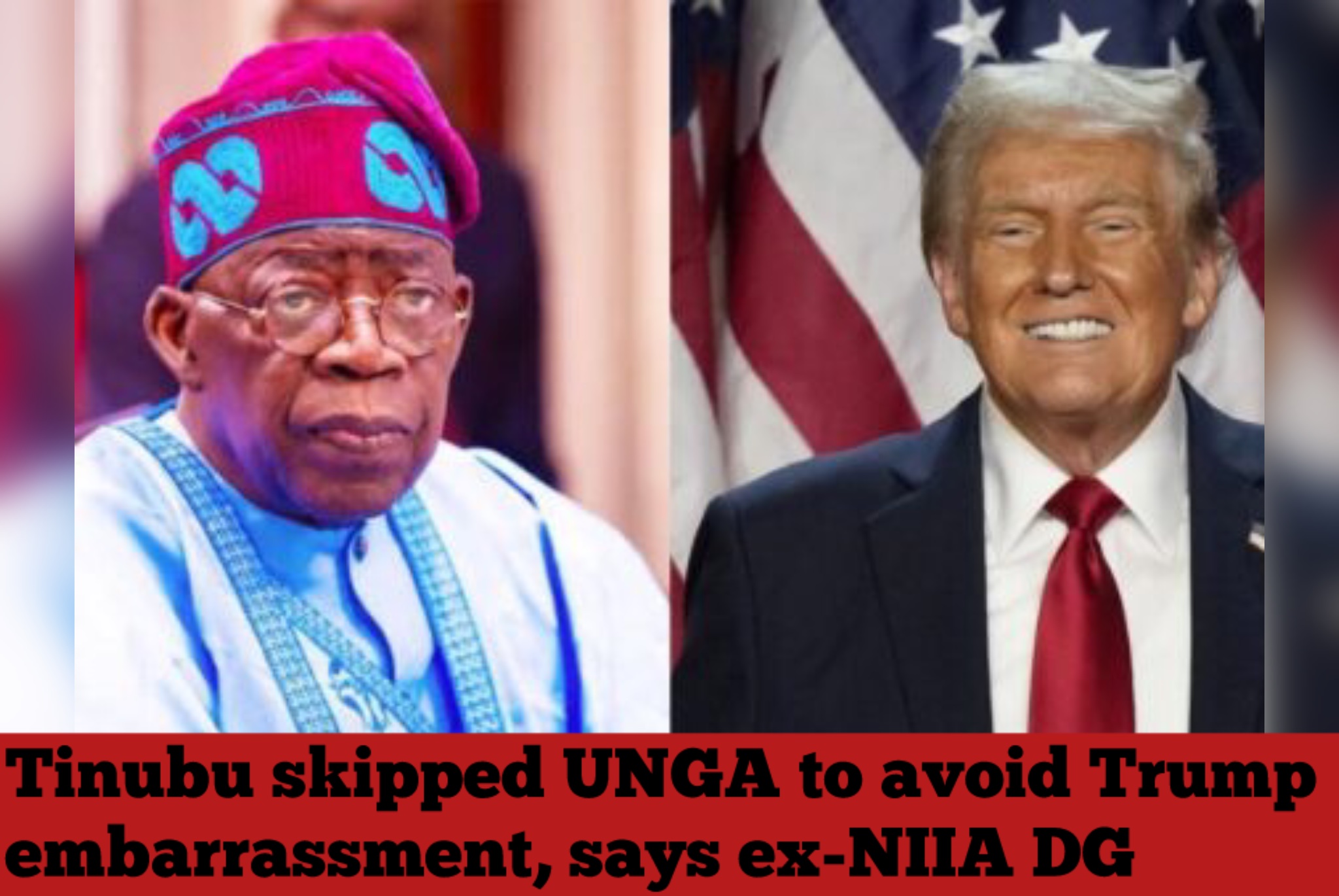 Tinubu skipped UNGA to avoid Trump embarrassment, says ex-NIIA DG