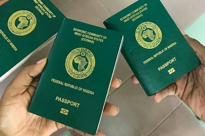 Senate Moves to Revoke Passports of Citizens Convicted Abroad for 10 Years