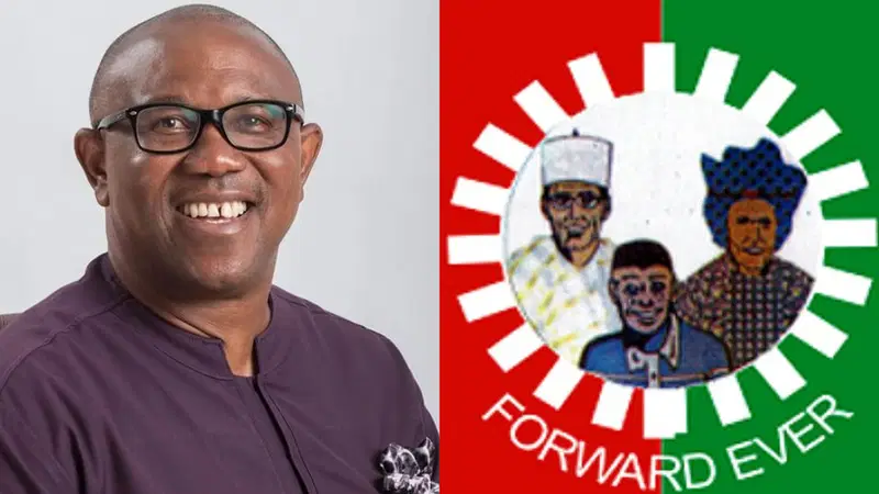 Labour Party says Peter Obi’s defection to ADC is a relief