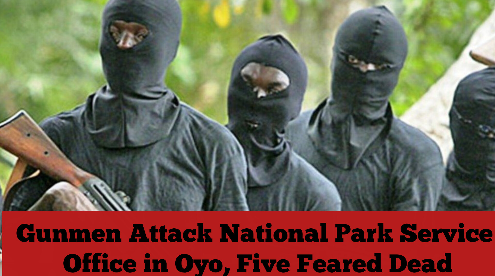 Gunmen Attack National Park Service Office in Oyo, Five Feared Dead