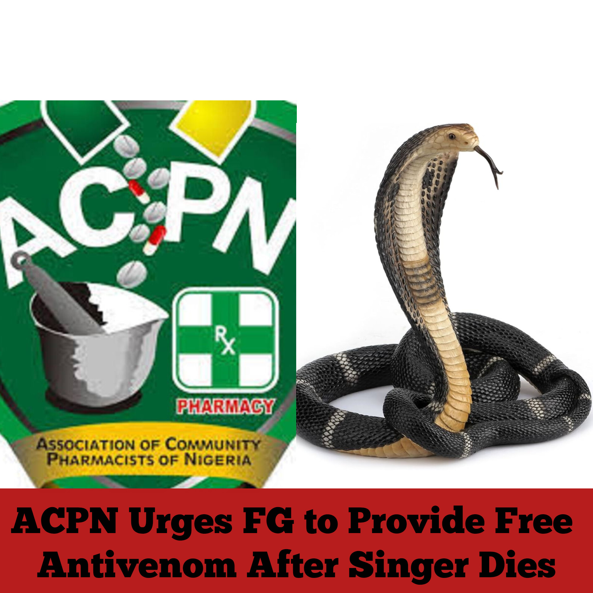 ACPN Urges FG to Provide Free Antivenom After Singer Dies