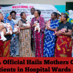 FCTA Official Hails Mothers Caring for Patients in Hospital Wards on IWD
