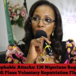 Xenophobic Attacks: 130 Nigerians Register as FG Plans Voluntary Repatriation Flights