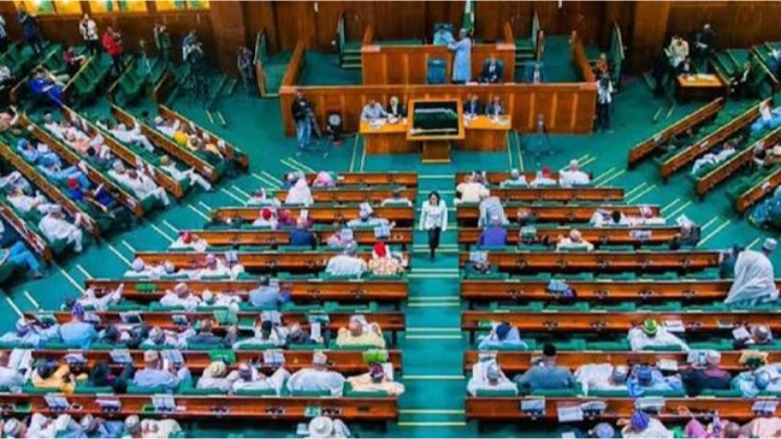 Nigerian Lawmakers Warn MDAs Against Rejecting NYSC Members