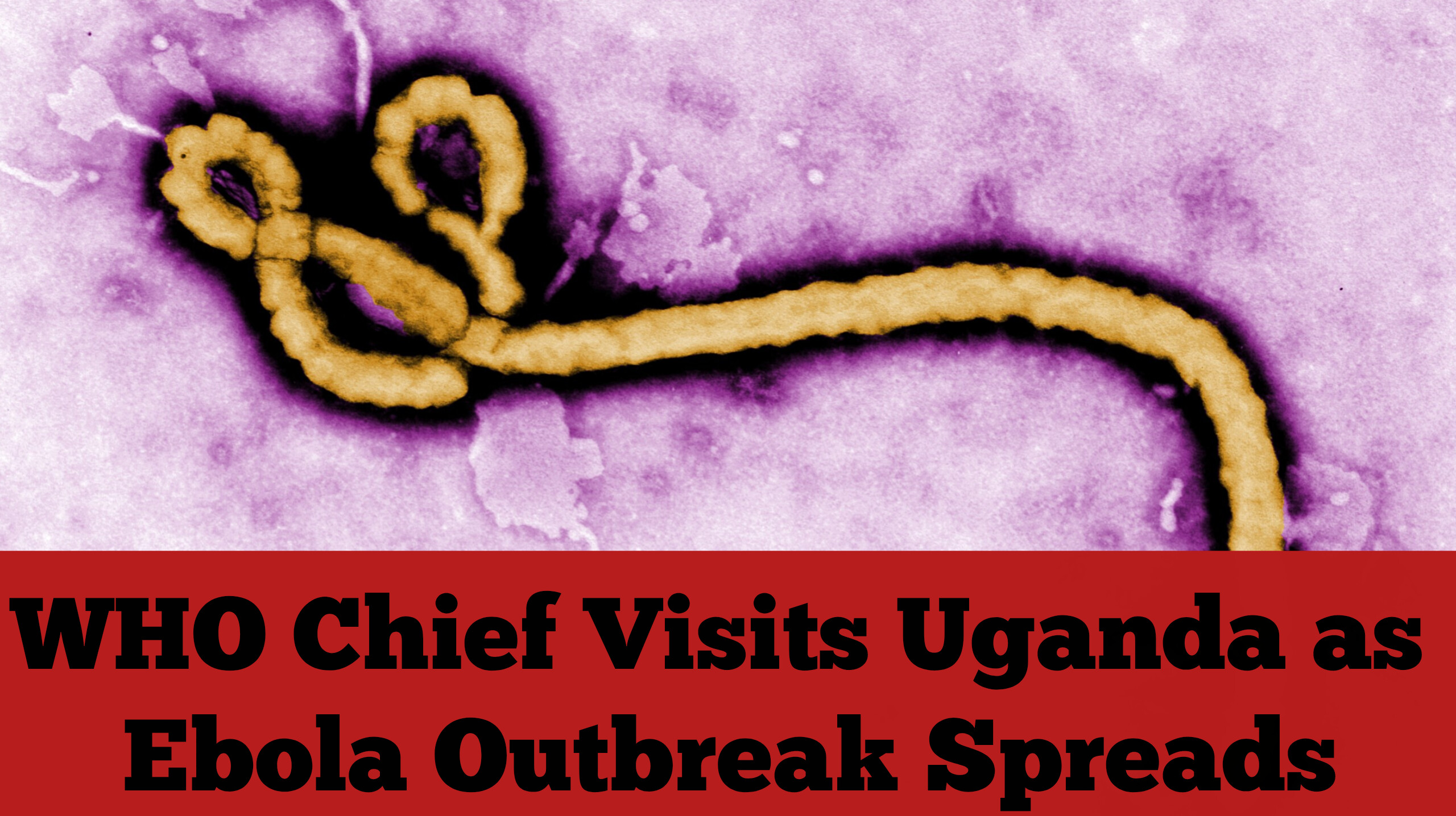 WHO Chief Visits Uganda as Ebola Outbreak Spreads