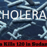 Cholera Kills 120 in Sudan: WHO
