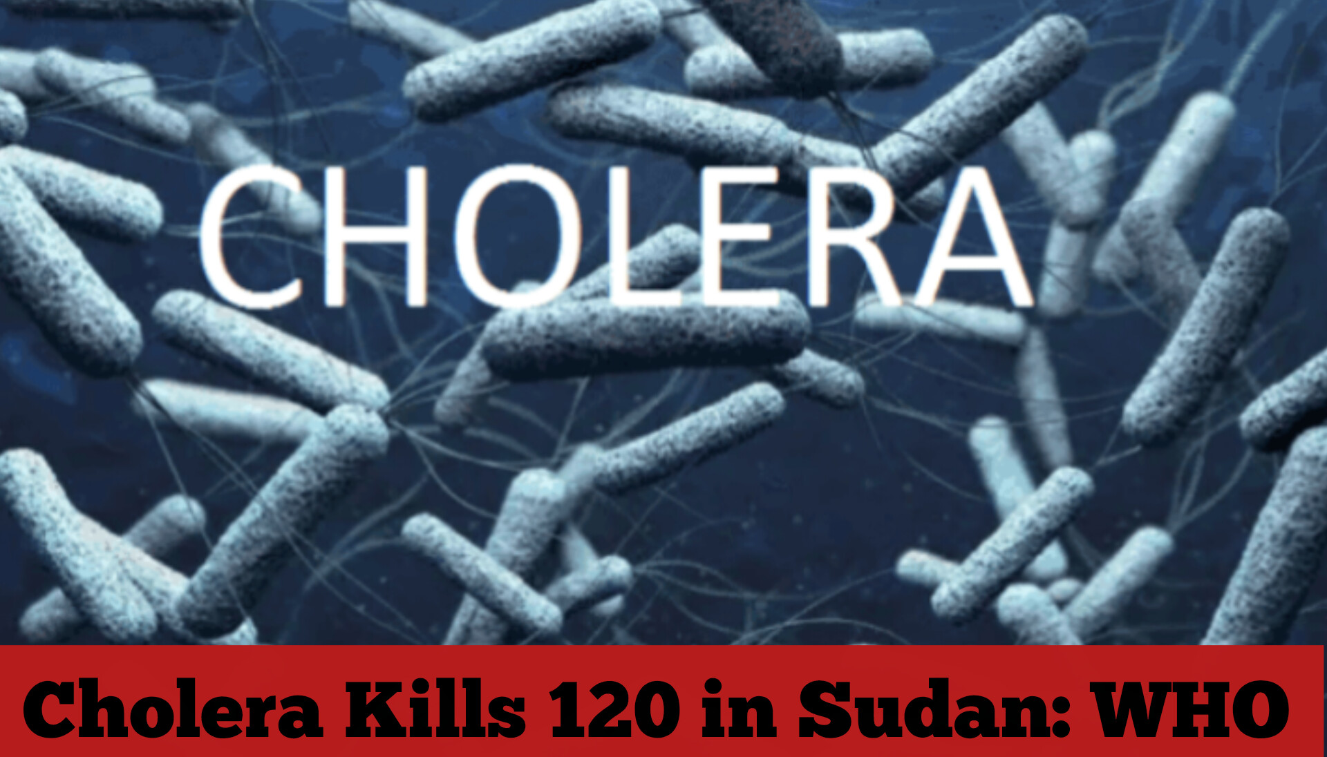 Cholera Kills 120 in Sudan: WHO