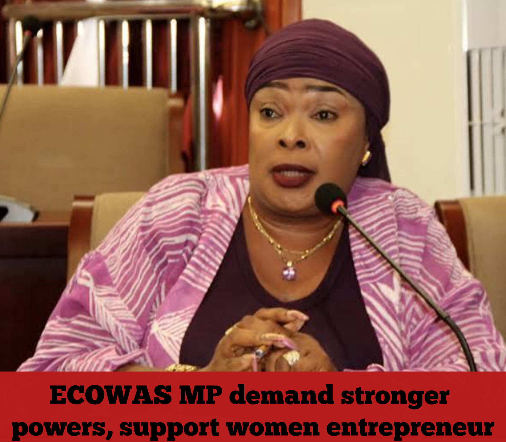 ECOWAS MP demand stronger powers, support women entrepreneur