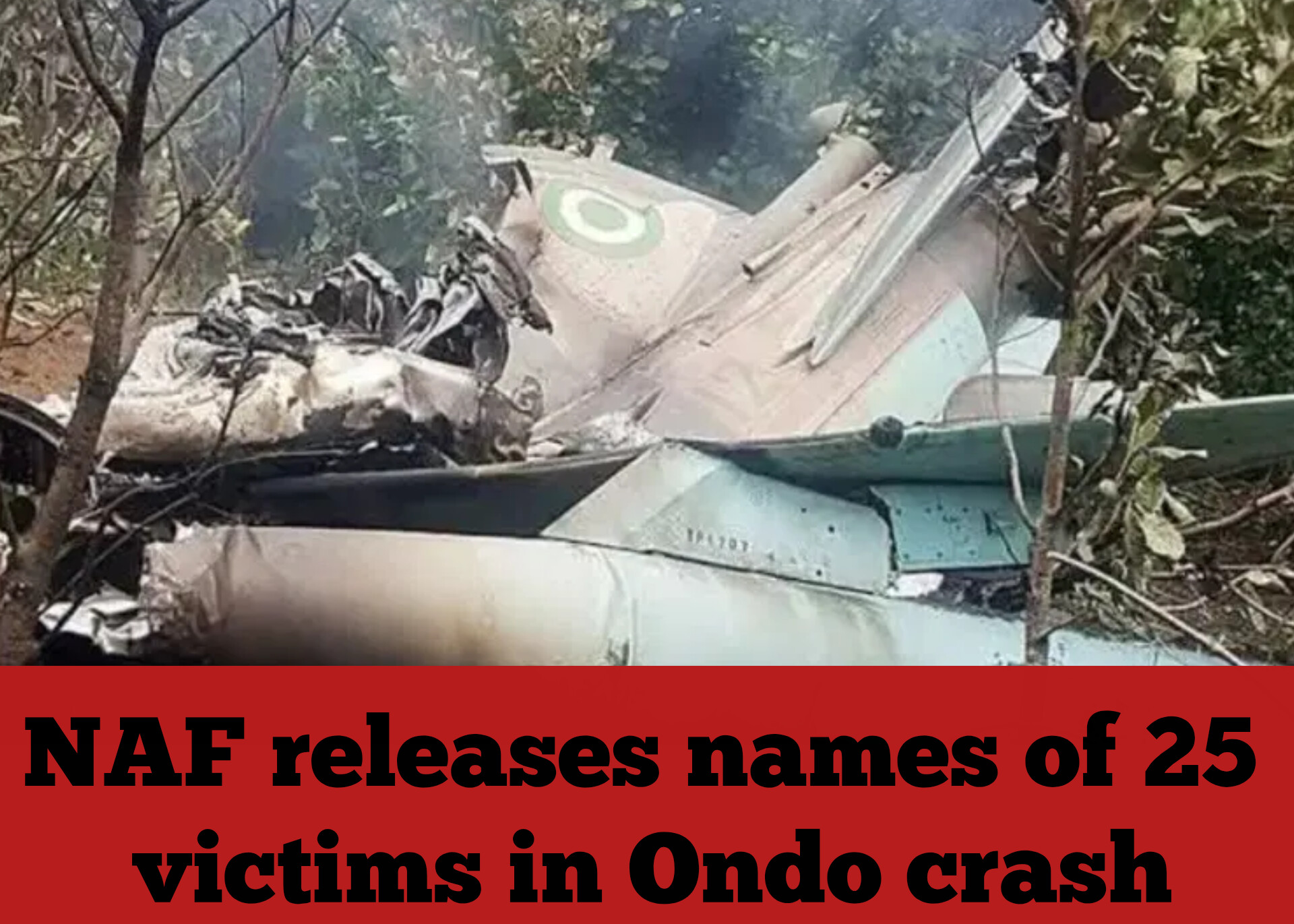 NAF releases names of 25 victims in Ondo crash