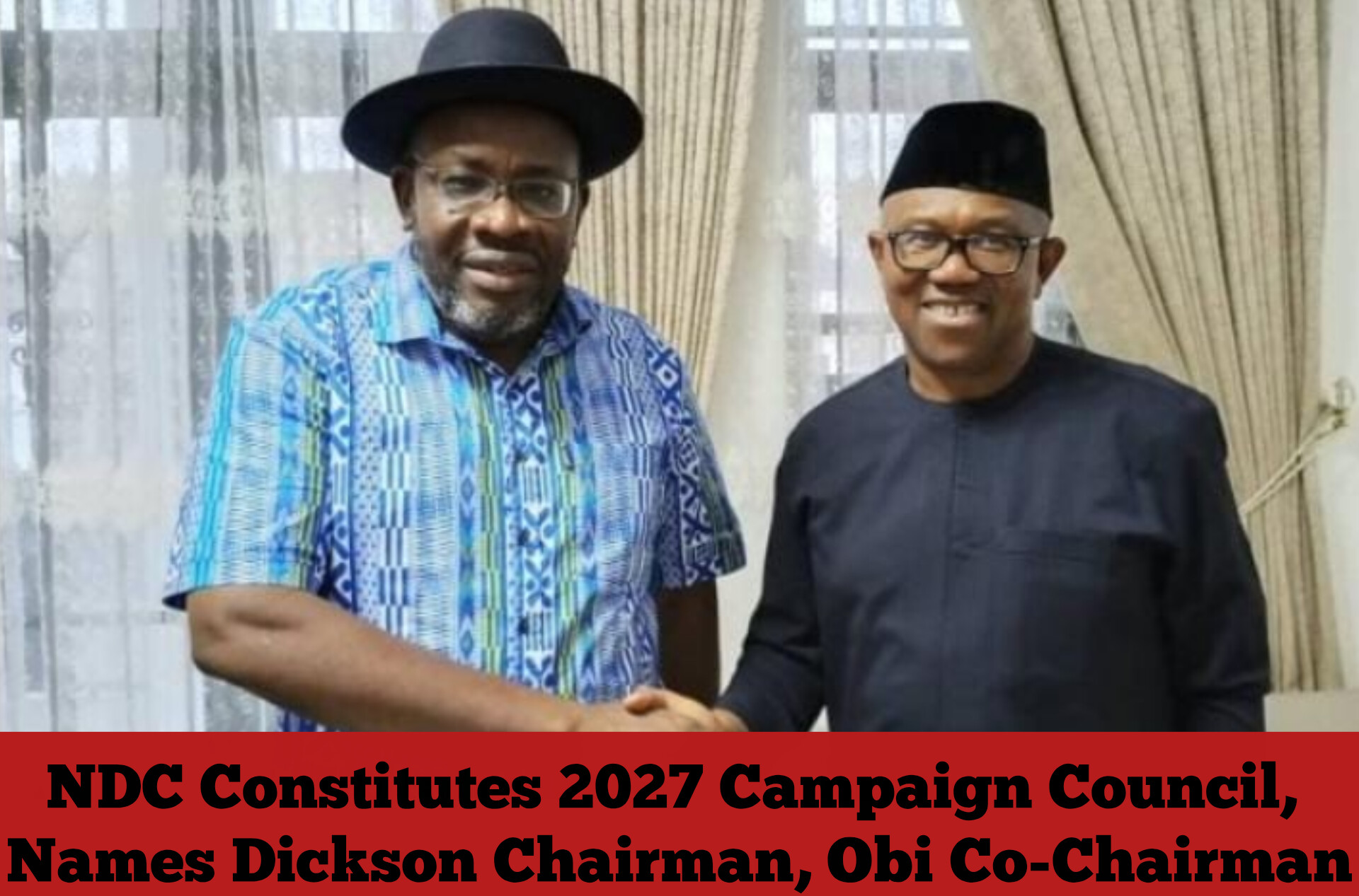 NDC Constitutes 2027 Campaign Council, Names Dickson Chairman, Obi Co-Chairman